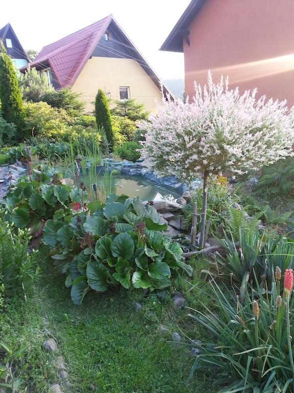 Noclegi U Andrzeja Duszniki Zdrój Esterno foto