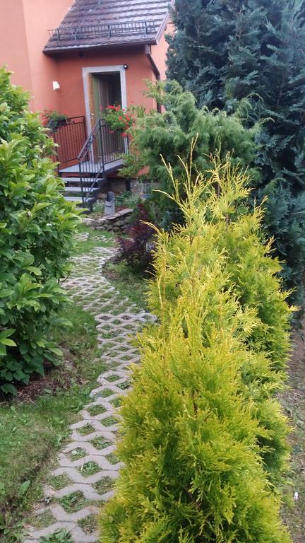 Noclegi U Andrzeja Duszniki Zdrój Esterno foto